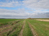 The track heading northeastwards towards Prickwillow.