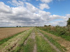 Following the railway tracks eastwards towards Sedge Fen.