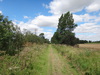 The track alongside Stallode Bank and Lakenheath Old Drove.