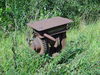 Old sluice winding gear.