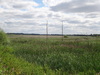 Norfolk Fen.