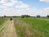 Heading east along the floodbank of the Little Ouse.