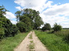 Heading east along the track from Lakenheath.