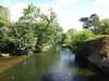 The Little Ouse in Brandon.