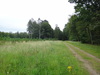 Following the track east from Santon towards the A134(T).