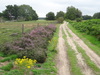 The track heading east towards Langmere.