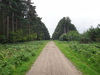 Heading north along the Peddar's Way.