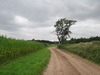 The track leading south towards the A11(T).