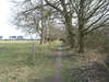 The path leading towards Rendlesham Forest.