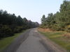 The track to the east of Tangham Cottages.