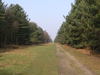 The path to the east of RAF Woodbridge.