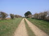 Heading north towards Bentwaters airfield.