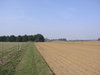 The path leading towards Tunstall Forest.