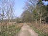 Heading north through Tunstall Forest.