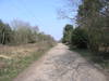 Heading north through Tunstall Forest.