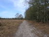 Following the Sandlings Way past Blaxhall Heath.