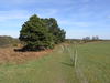 The path approaching North Warren.