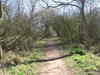 Heading north along the old railway line.