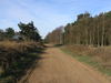 The track heading northeastwards towards Dower House.