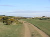 The path heading north behind the beach from Sizewell Gap.