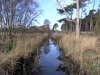 A stream beside Goose Hill.