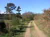 The track leading past the Kenton Hills.