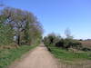 The track heading north towards Eastbridge.