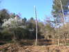 Heading west through the woodland from Dunwich.