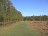 The path past Dunwich Forest.