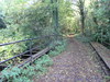 An old railway bridge over Park Stream at Horsebridge.