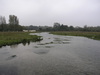 The river at Chilbolton Common.