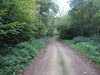 The path heading towards the old railway bridge near Middleton Farm.