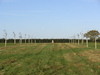 The trig pillar at Stokehill Farm.