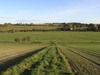 The descent down towards Hurstbourne Tarrant.