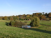 A pond by the farm at Hurstbourne Tarrant.