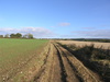 The track leading north from Ibthorpe.
