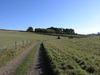 The track heading northwest from Hart Hill Down.