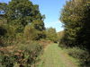 The track heading northwest from Hart Hill Down.