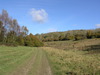 The track heading northwest from Hart Hill Down.