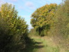 Following the Test Way north from Nursling.