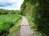 A boardwalk near Lower Craigallian.