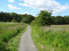 Heading north along the course of the Blane Valley Railway from Dumgoyne.