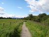 Heading north along the course of the Blane Valley Railway from Dumgoyne.