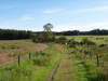 The path leading north towards the Garadhbam Forest.