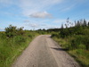 The track heading northwestwards through the Garadhbam Forest.