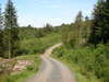 The track heading northwestwards through the Garadhbam Forest.