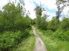 Heading through the woods to the west of the road.