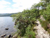 The path above Loch Lomond.