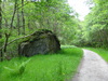 The track heading north from Rowardennan.