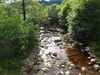 A stream at Cailness.